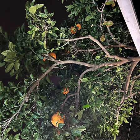 Ground Floor With Terrace And Pool Guest house