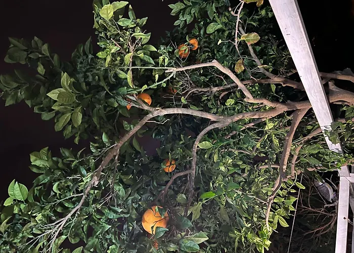 Ground Floor With Terrace And Pool Guest house