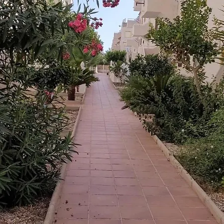 Ground Floor With Terrace And Pool Guest house *